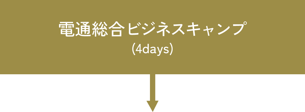 電通総合ビジネスキャンプ(4days)