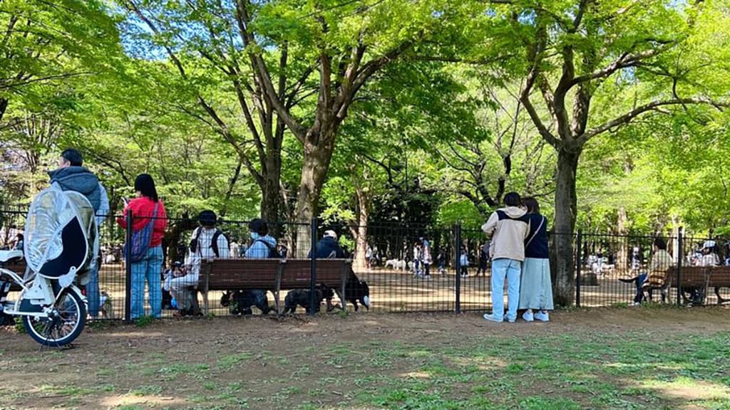 休日はドッグランに行ったりして過ごしています