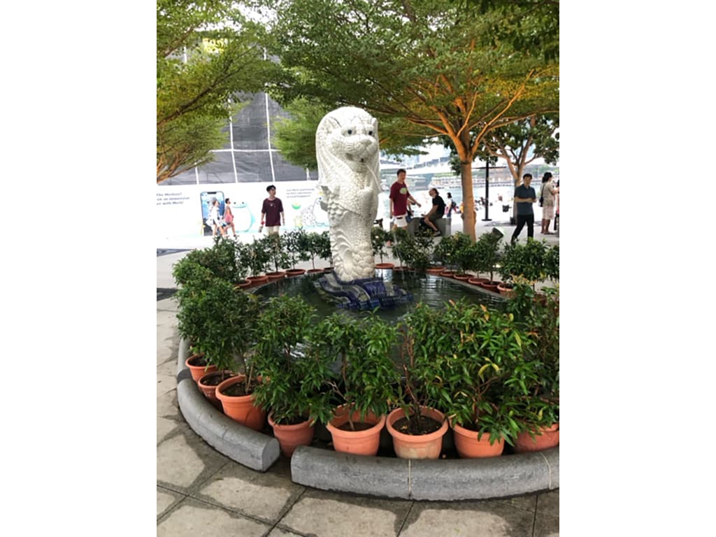 12年間育ったシンガポールには年一回は戻っています(この時は後ろの有名な方のマーライオンは工事中でした)